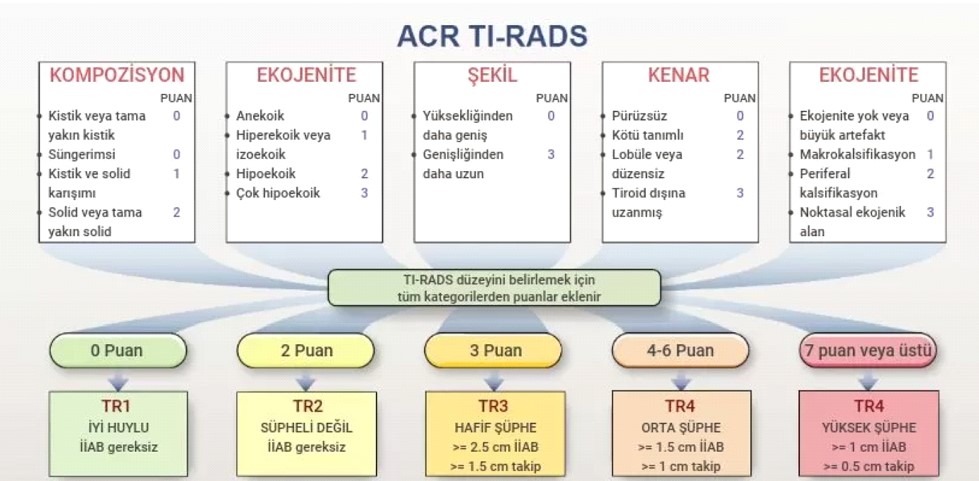 Tiroid nodül Tirads sınıflaması