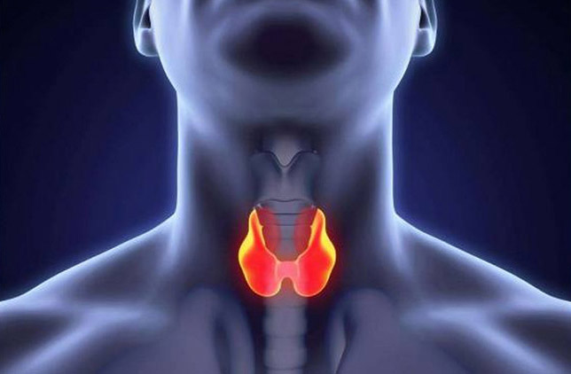 Hipertiroidi Nedir? Belirtileri, Tedavisi Antalya Muratpaşa